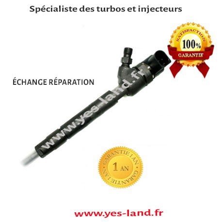6110700687 INJECTEUR MERCEDES-BENZ CLASSE E E 220CDI 143CV échange réparation