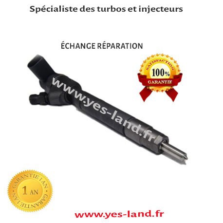 6110701687 INJECTEUR MERCEDES-BENZ SPRINTER 2-t Fourgon 208 CDI 82cv  échange réparation 