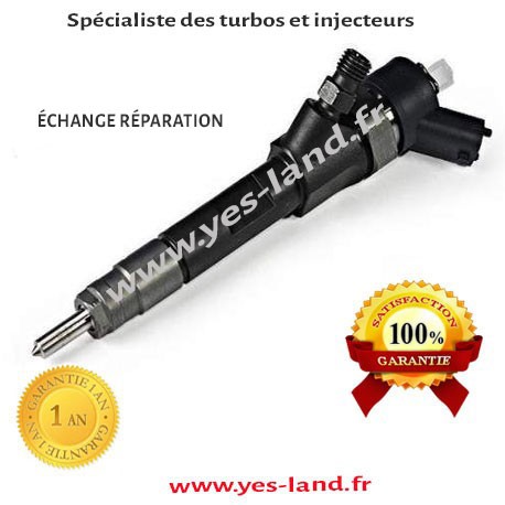 0445110110A 0445110110B  Injecteur  Renault Megane II Scenic II Laguna II Espace IV 1.9 DCI 120 en échange réparation 